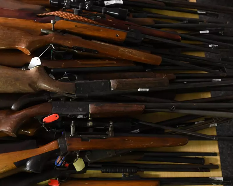 Albanese Pushes National Gun Buyback Amid State Opposition