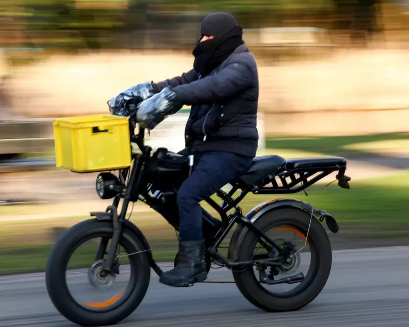 Amsterdam to Ban Fatbikes in Parks After Surge in Child Accidents