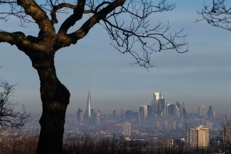 Antiques Roadshow 2026: London Filming Plans and How to Apply