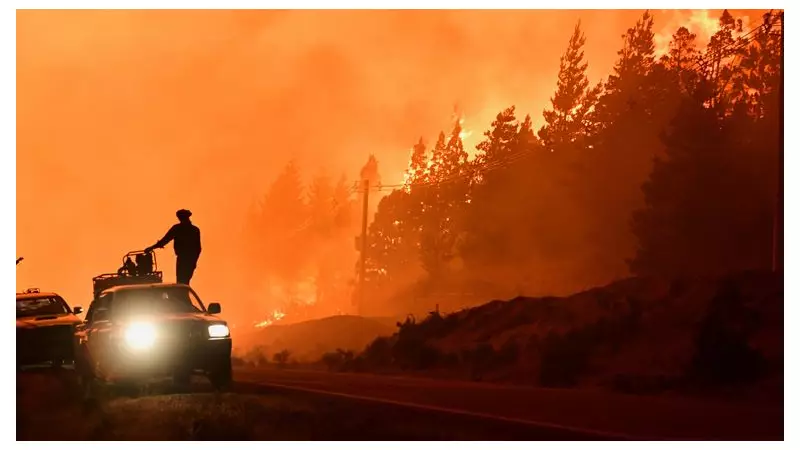 Argentina Wildfires: 3,000 Hectares Burn in Patagonia, Forcing Thousands to Flee