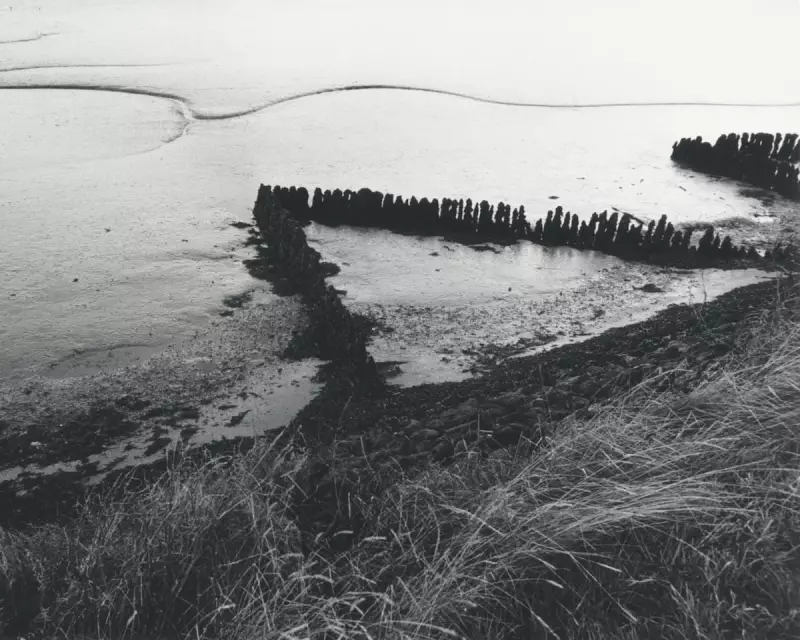 Art Weekly: Emin's Melancholy Giants, Homoerotic Saints & Political Posters