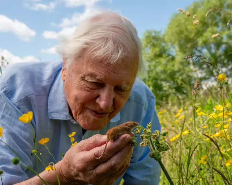 Attenborough's Wild London Inspires Hope Amid Nature's Decline