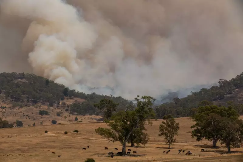 Australia Faces Record-Breaking Heatwave and Extreme Fire Danger