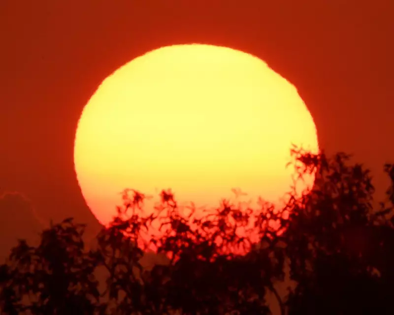 Australia's 2026 Heatwave: Southern States Face Extreme Temperatures