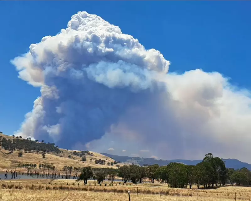 Australia's 'Black Summer' Heatwave Returns: 40C+ Temperatures and Extreme Fire Danger