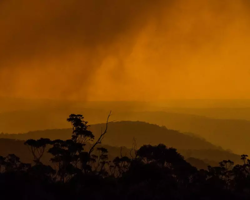 Australia's Heatwave Crisis: A Climate Scientist's Warning from Black Summer to Now