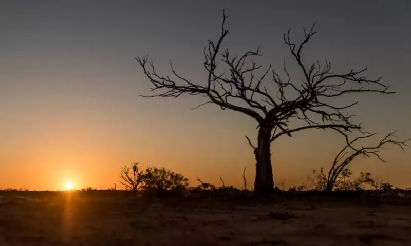 Australia's Record-Breaking Heatwave: Temperatures Forecast to Hit 50°C
