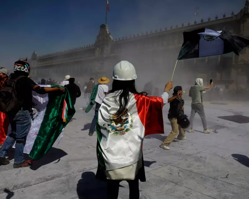 Avocado's Bloody Cost: Violence and Land Theft in Mexico's Michoacán