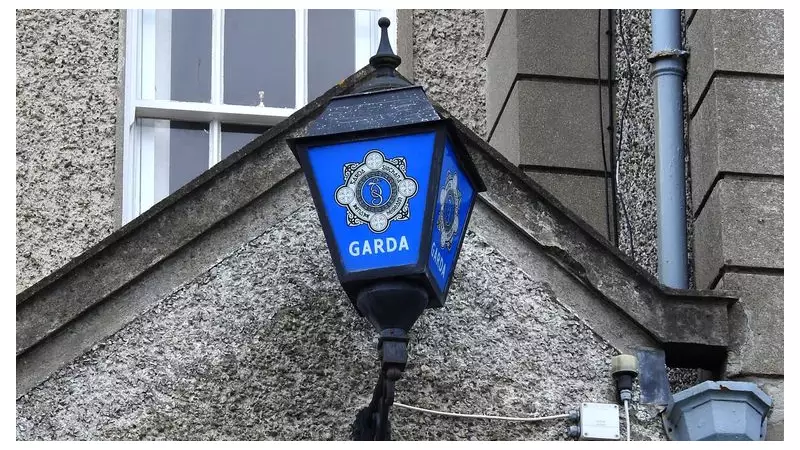 Bodies of man and boy found in separate Dublin homes in tragic morning