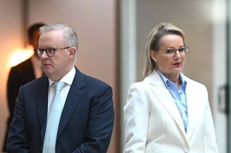 Bondi Aftermath: How Hasty Legislation Exposes Albanese and Ley