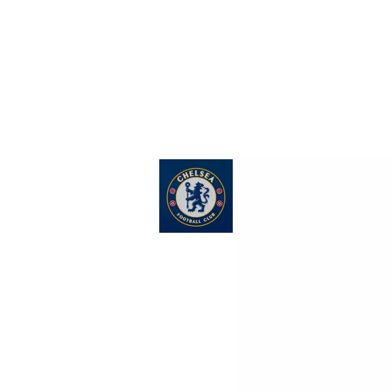 Chelsea Rule Out Four Bosses in Manager Hunt, Including Fabregas