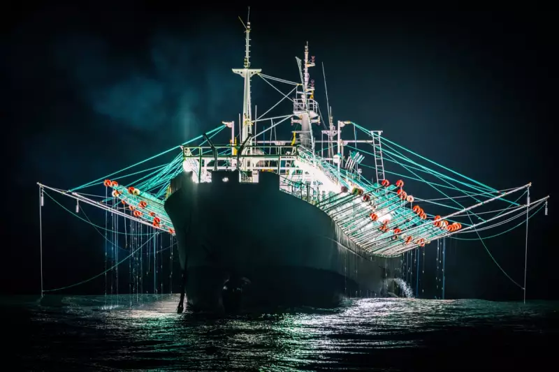 Chinese Fleet Plunders Squid in Unregulated Atlantic Zone, Threatening Ecosystem