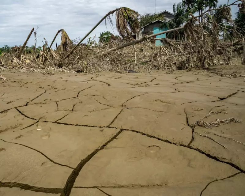 Climate Crisis: It's Our Future at Stake, Not Earth's, Warns Expert