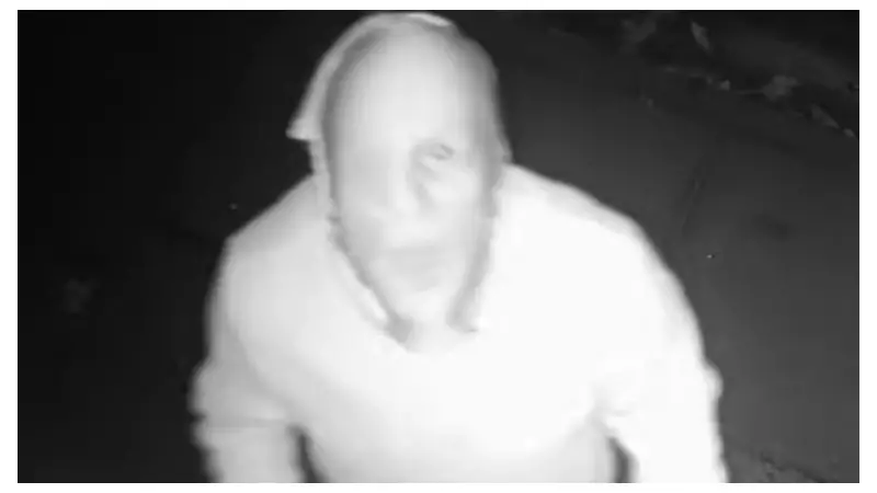 Clumsy Burglar Jailed After Ladder Fails in Petrol Station Raid