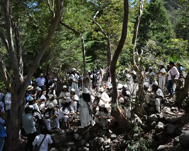 Colombia's Arhuaco People Face Extinction Amid Drug Trafficking and Violence