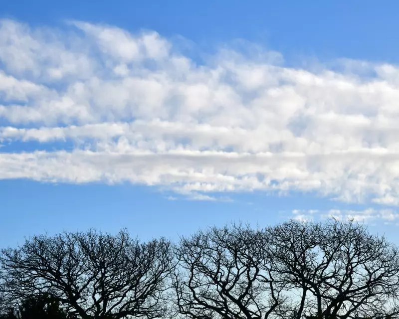 Country Diary: The Eerie Calm After the Storm in Ceredigion