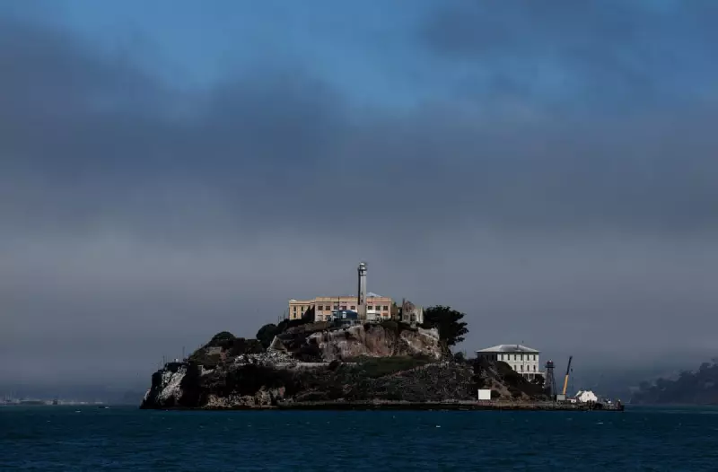 Coyote Makes Historic Swim to Alcatraz, Stunning San Francisco Observers