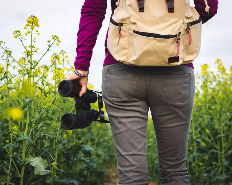 Crowborough's Controversial Summit: A Marilyn in a Front Garden