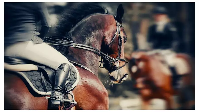 CVC-Backed Global Sport Group Nears $300m Equine Network Acquisition