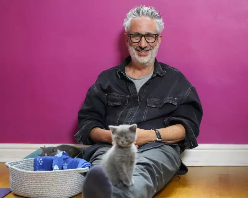 David Baddiel's 'Cat Man' Leads Tonight's TV: Paddleboarding Felines & More