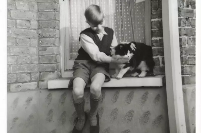 David Bowie's Bromley Childhood Home Set for £500k Restoration as Heritage Hub