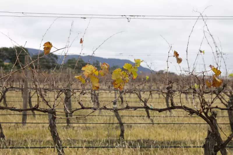 Death of Filipino Migrant Worker in NSW Sparks Federal Police Referral