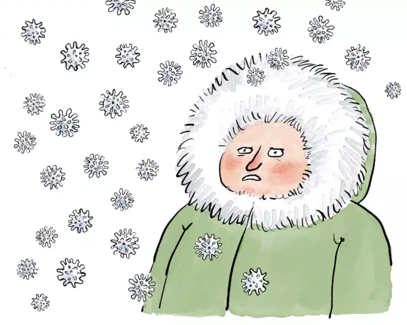 Does Cold Weather Cause Colds? The Surprising Truth Revealed