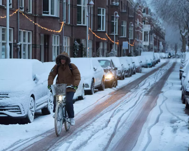 Dutch Paralysis: How a Week of Snow Exposes a Nation's Climate Amnesia