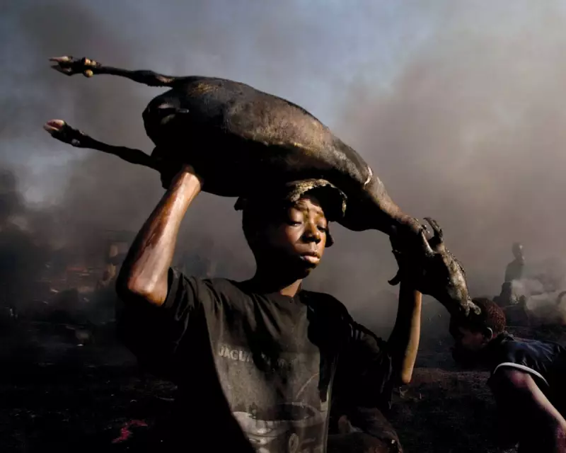 Ed Kashi's 45-Year Photographic Journey: A Front Row Seat to Global History