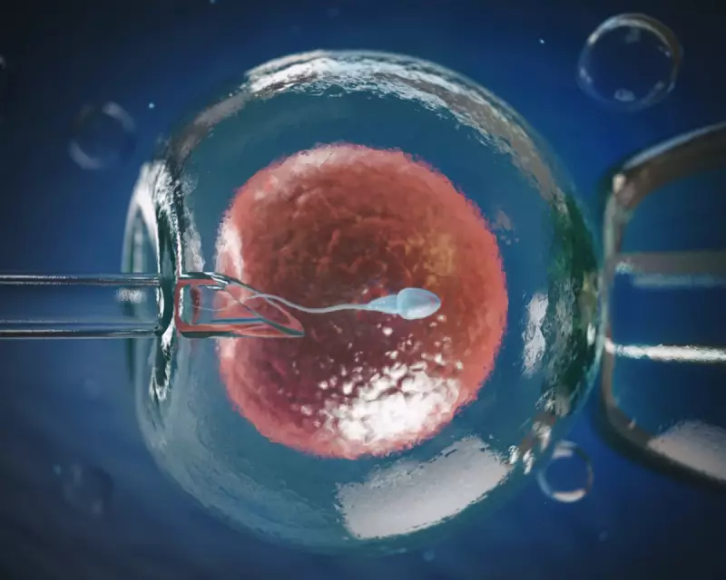Egg 'Rejuvenation' Breakthrough Could Transform IVF for Older Women