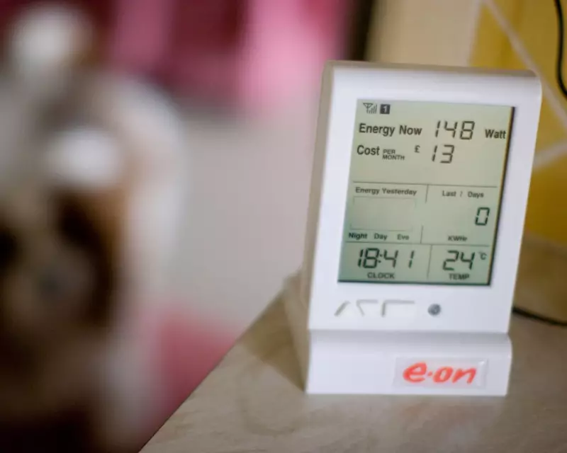 E.ON's £3,360 Smart Meter Blunder Adds Grief for Bereaved Customer