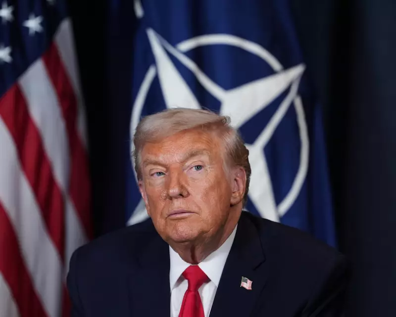 European Markets Rally as Trump Cancels Tariff Threat Against Eight Nations