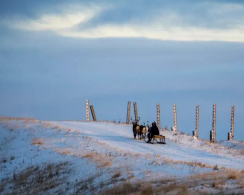 Exploring Global Narratives: A Roundup of Recent Translated Fiction