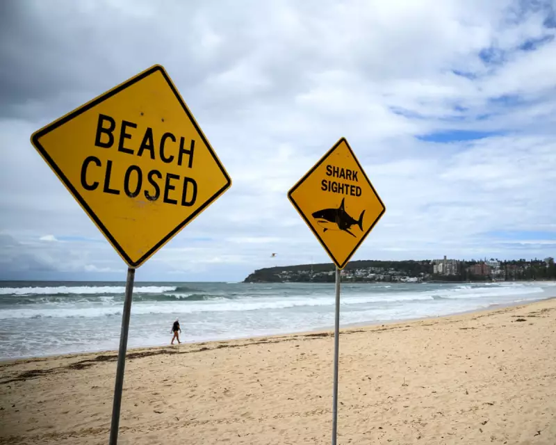 Fourth Shark Attack in 48 Hours Sparks Sydney Beach Closures