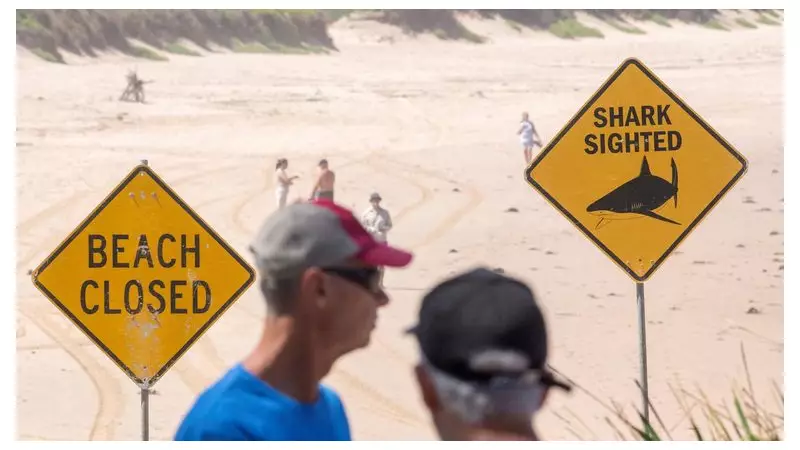 Fourth Shark Attack in Three Days Rocks Sydney: Surfer Survives