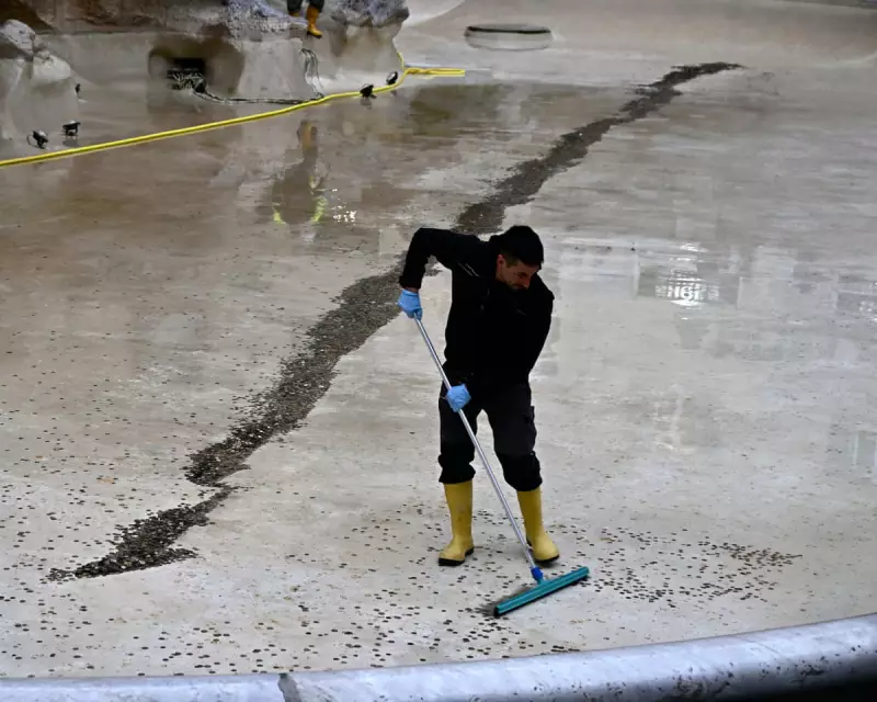 Friday's Global Snapshot: Trevi Fountain Fees, Gaza Mourning & Melbourne Heat