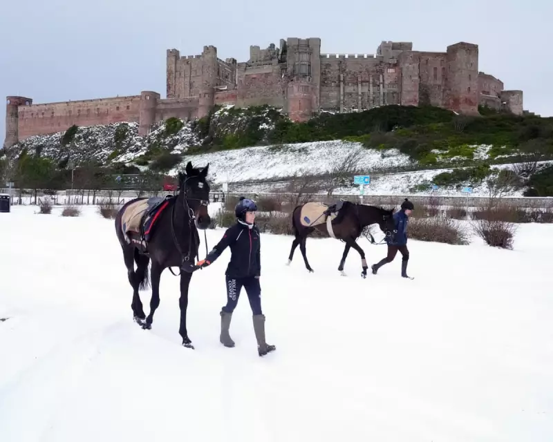 Frost Threatens Kempton and Warwick Racing: Saturday Inspections Called