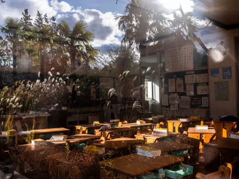Fukushima's Frozen Classrooms: Nature Thrives 15 Years After Nuclear Disaster