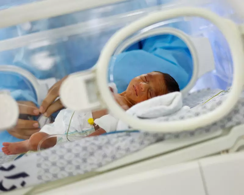 Gaza War Triggers 41% Drop in Births Amid 'Reproductive Violence' Claims