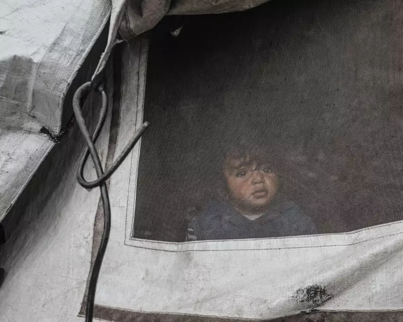 Gaza's Winter Crisis: 1.6 Million Face Starvation as Israel Bans Key NGOs