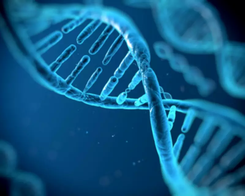 Genetics May Determine 50% of Human Lifespan Variation, Study Reveals