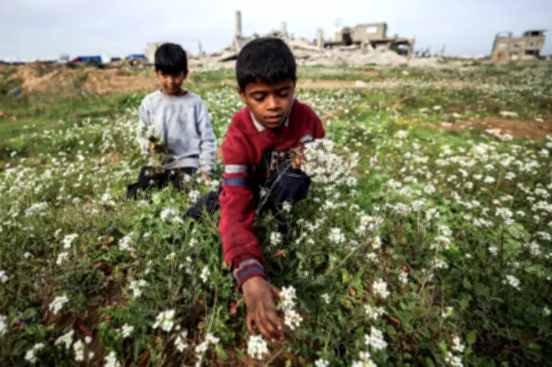 Global Photo Diary: From Gaza Conflict to Trump Premiere