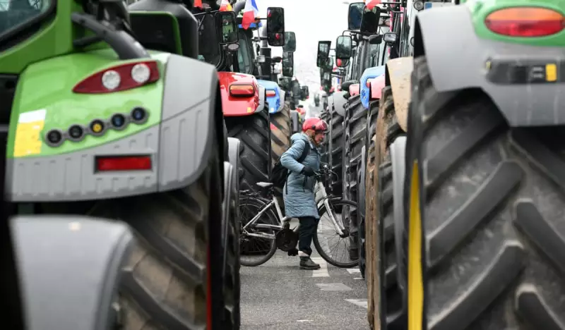 Global Snapshot: Trump's Arrival, Farmer Protests, and Camels on Parade