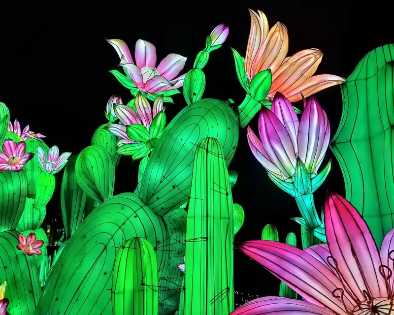 Guardian Readers' Stunning Photo Collection: From Lanterns to Parakeets