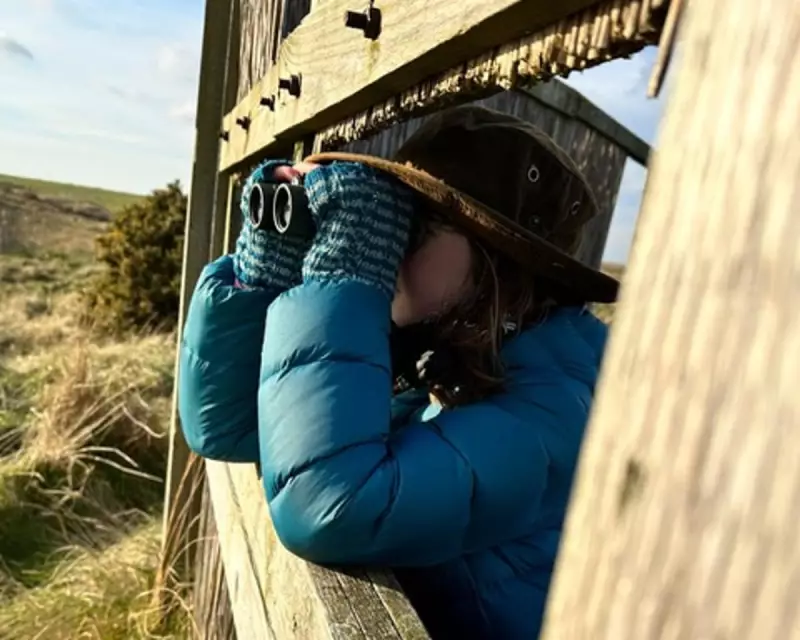 Guardian's Young Country Diary Opens for Winter Wildlife Submissions