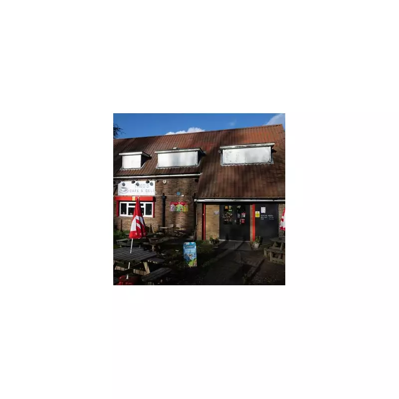 Hillingdon Council Planned to Write Off Former Tory Councillor's Rent Debt