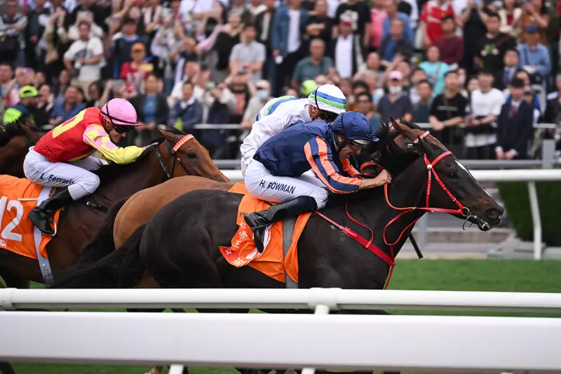 Hong Kong's Racing Titans Clash in Sunday's Stewards' Cup Showdown