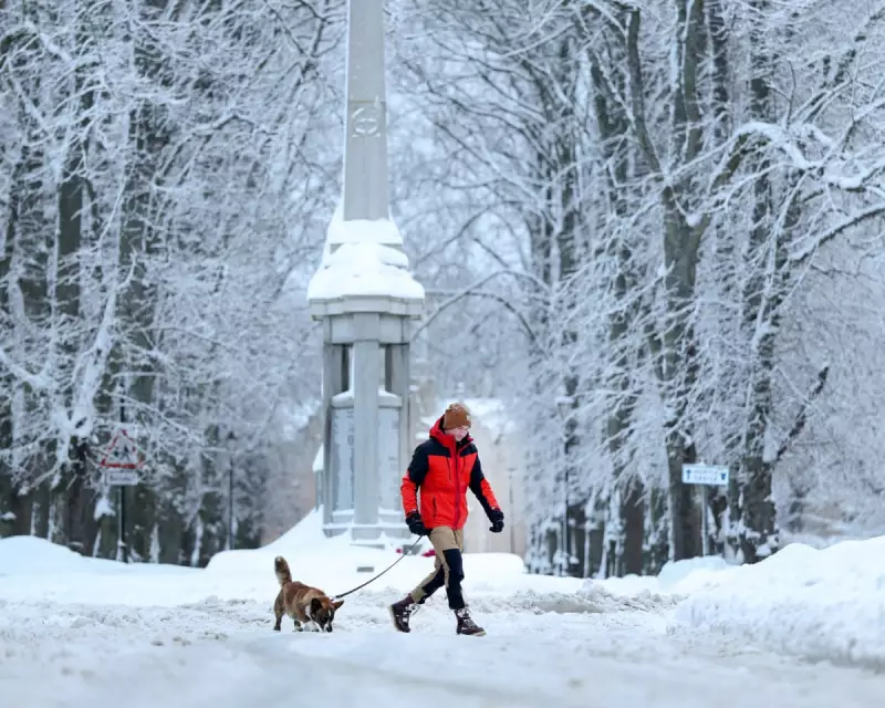 Hundreds of Scottish Schools Shut as Amber Snow Warning Disrupts UK