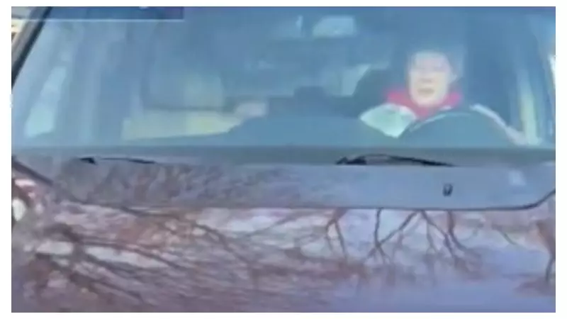 ICE Agent's New Footage Shows Moments Before Minneapolis Shooting