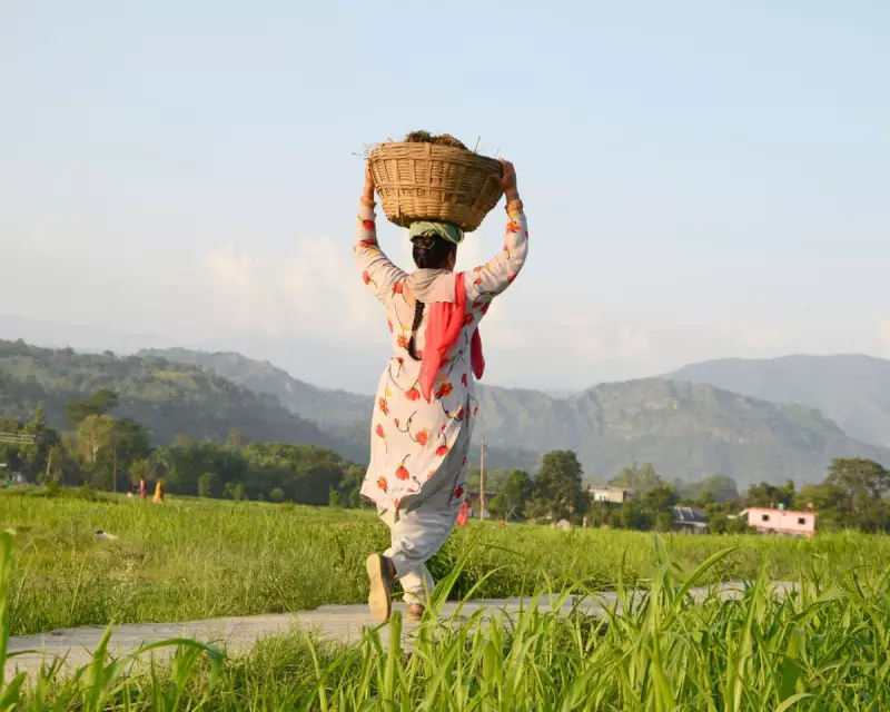 India's Rural Job Guarantee Under Threat: Modi's Reform Risks Rural Revolt